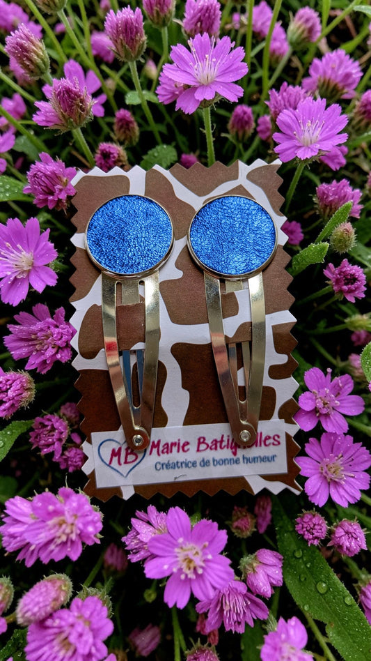 Barrettes Pop